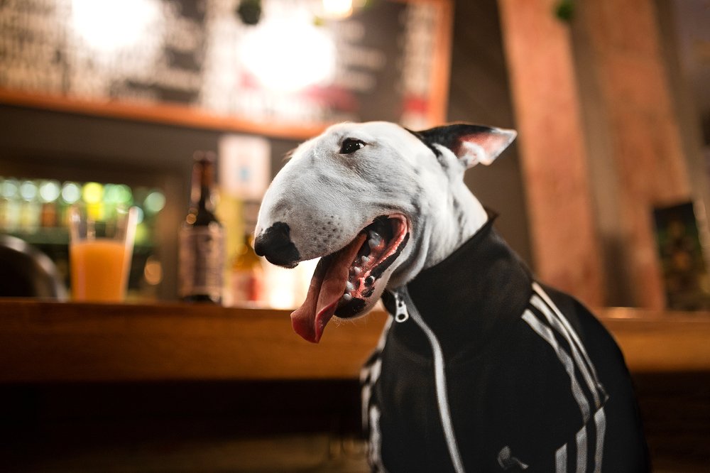 Photograph by Andrey Maksimov