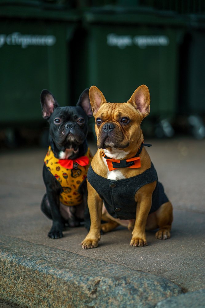 Photograph by Andrey Maksimov