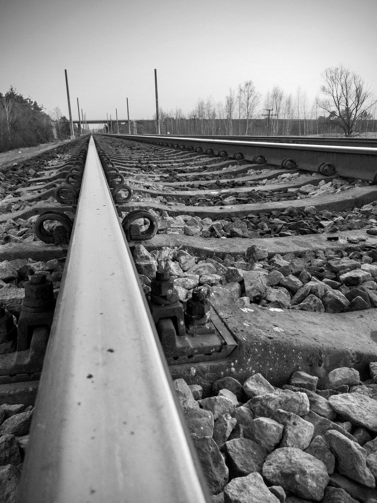 Photograph by Михалевич Машка