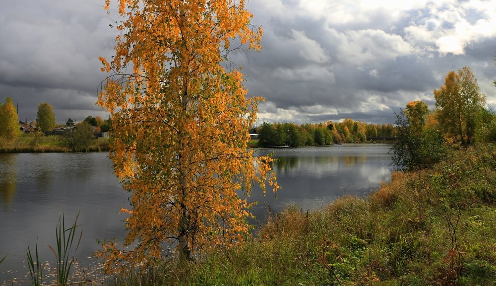 Осень на Туре