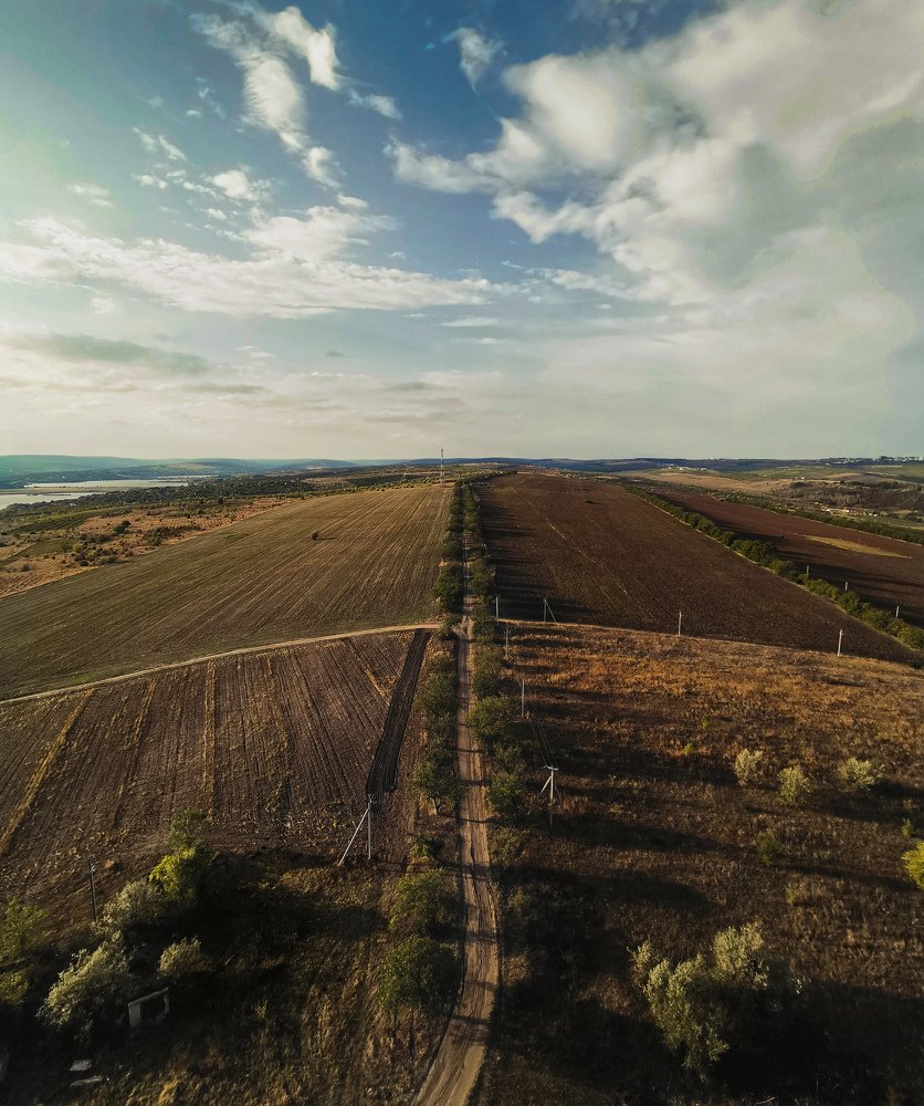 Photograph by Igor Filipenco