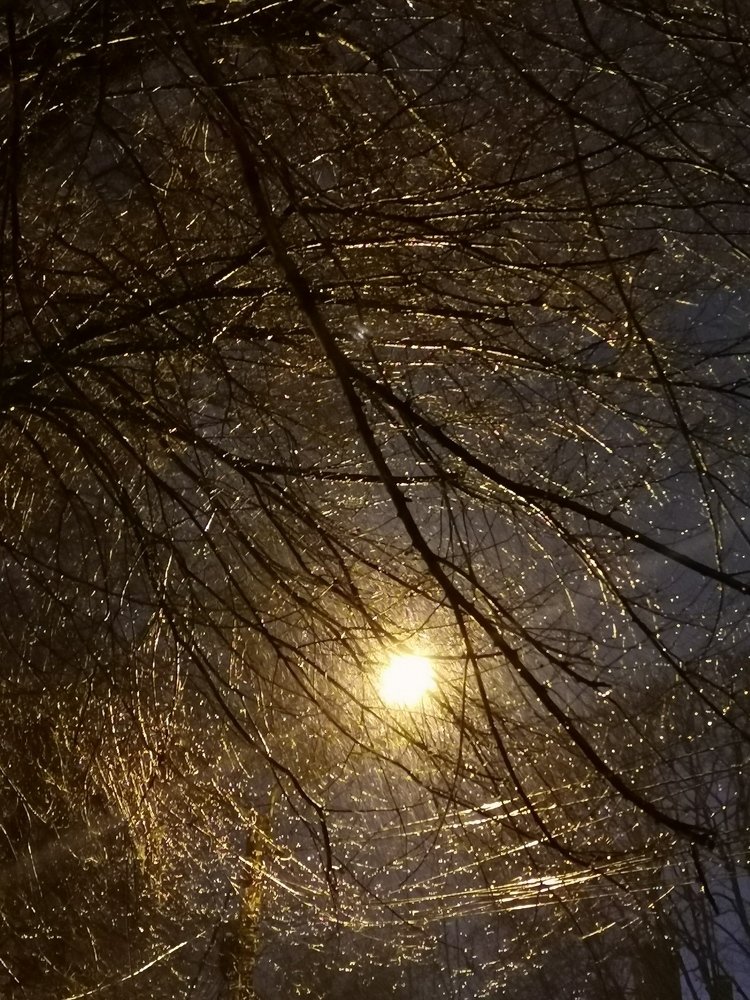 Photograph by Александр Тэльнор