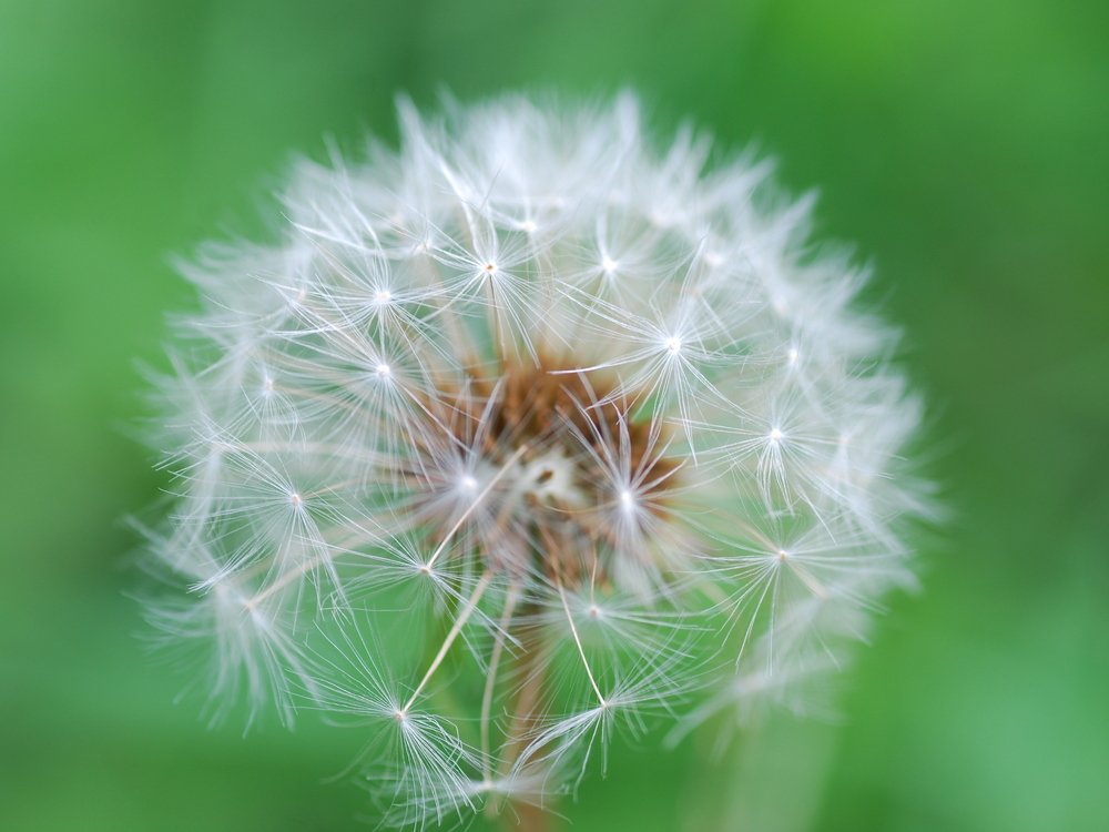 Photograph by Оксана Трофименко