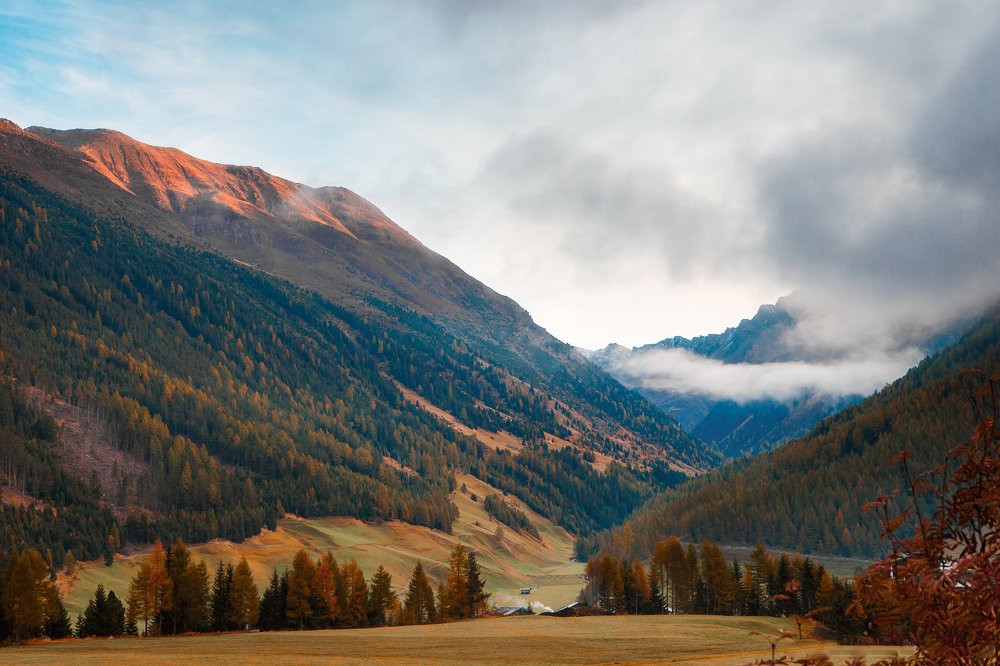 Photograph by Alisa Borodin