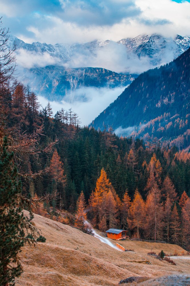 Photograph by Alisa Borodin