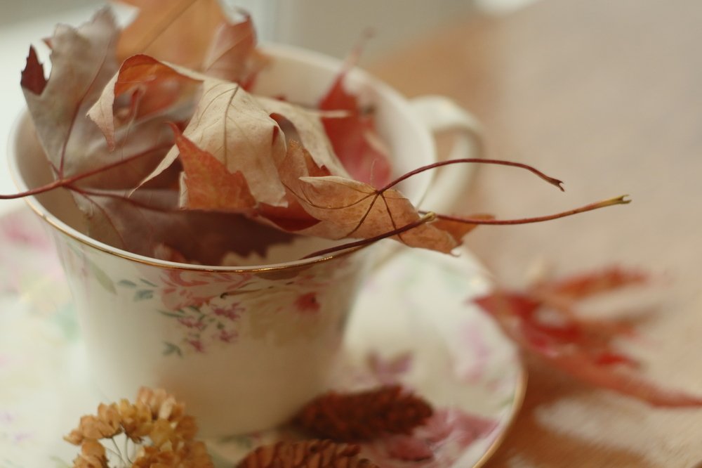 Photograph by Елена Квасова