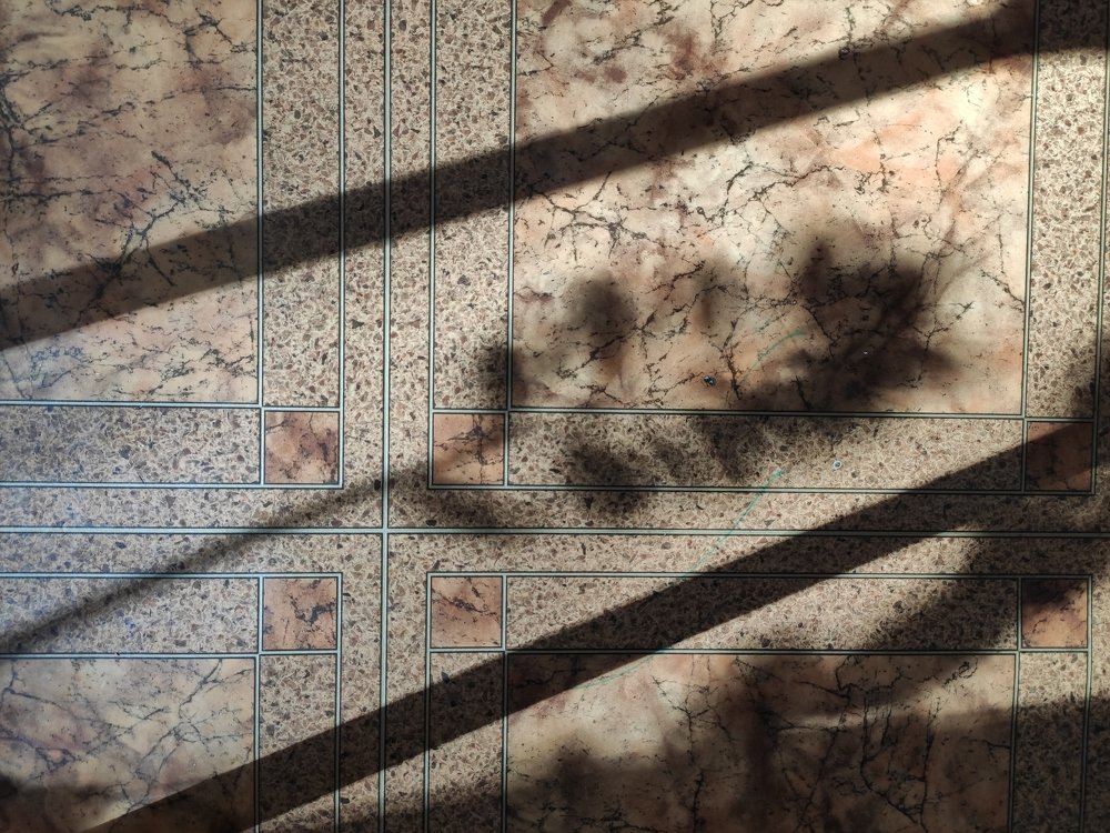 Photograph by Алина Козинец