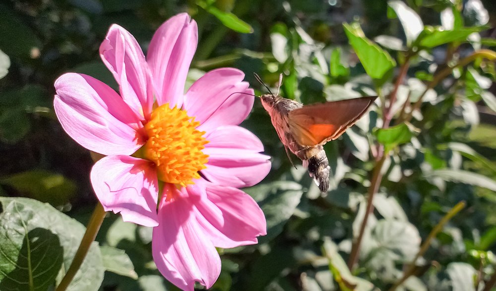 Photograph by Amin Hadadian