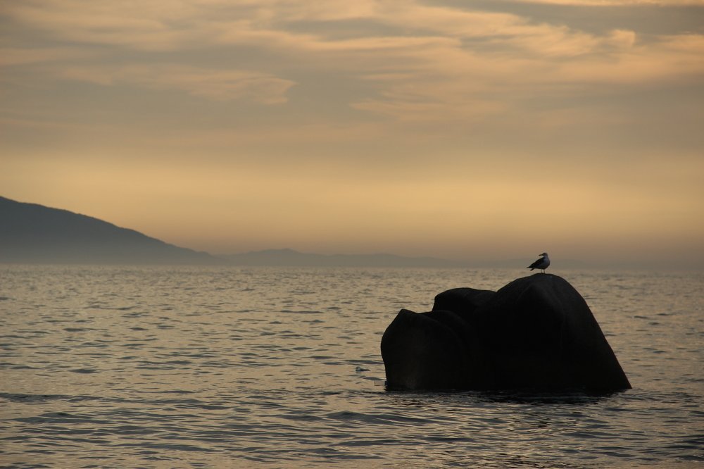 Photograph by Анастасия Пипко