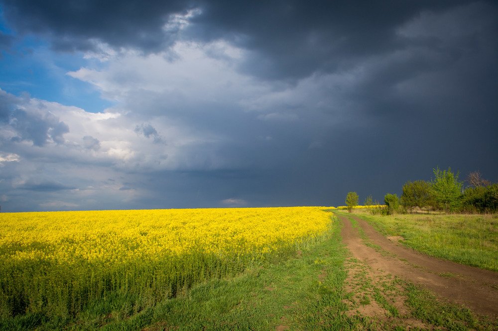 Photograph by Сергій Марущак