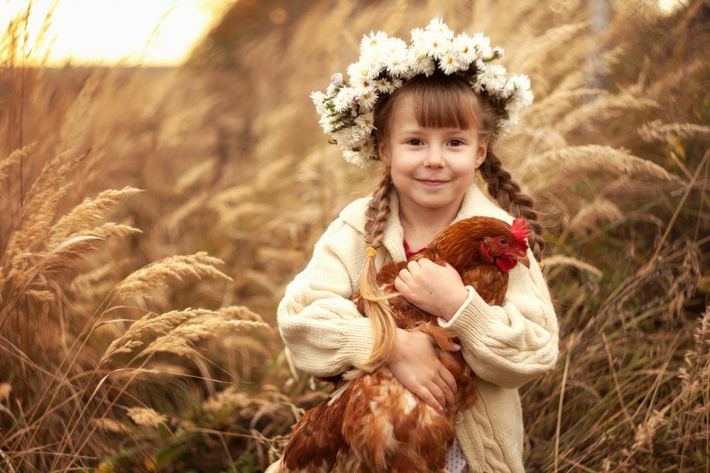 Photograph by Антонина Свешникова