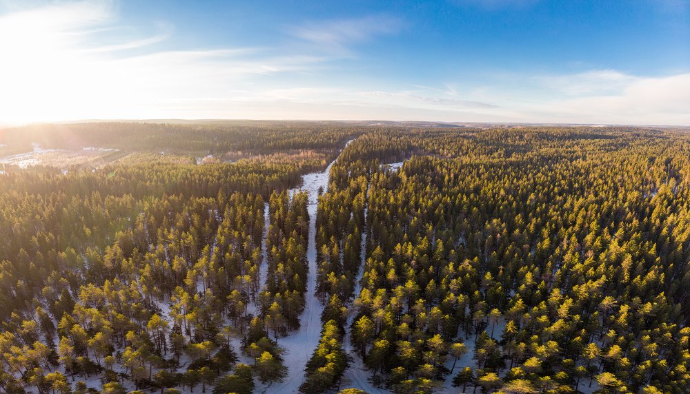 Photograph by Алексей Ширманов