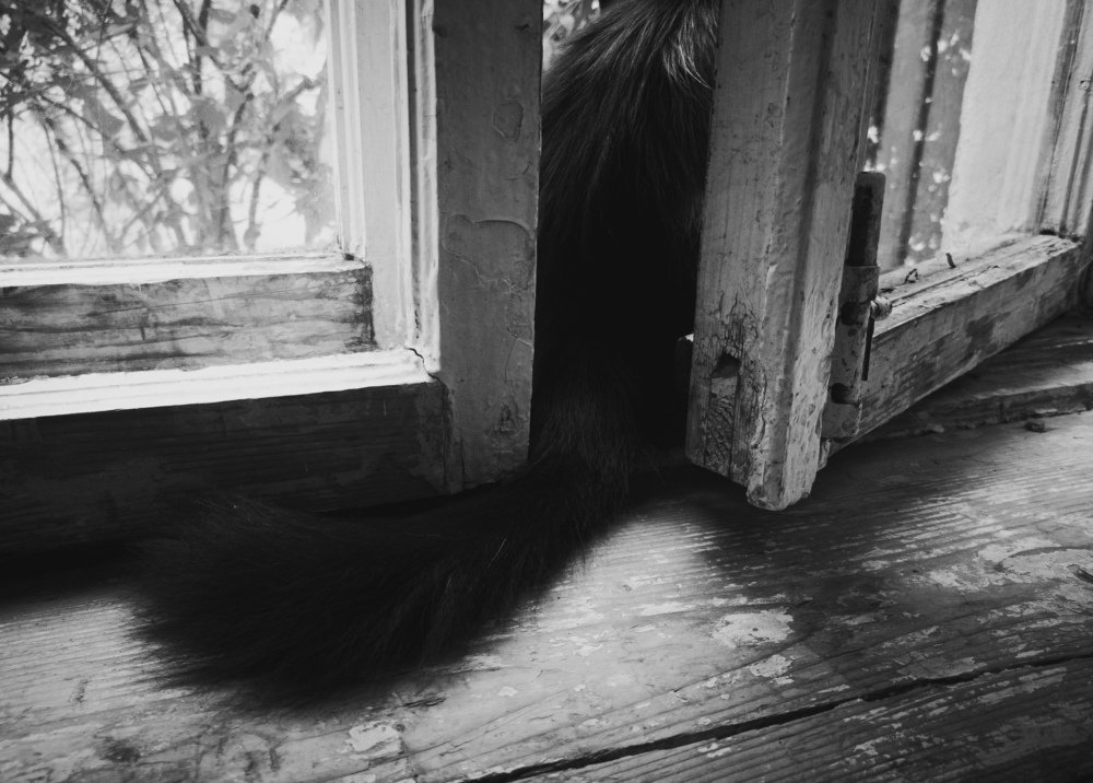 Photograph by Igor Filipenco