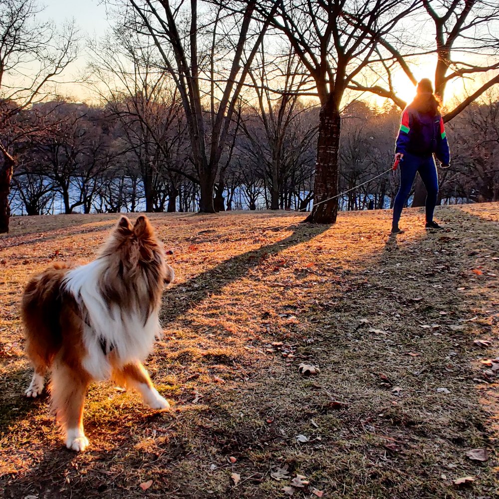 Фотография автора Marcos Arakelian