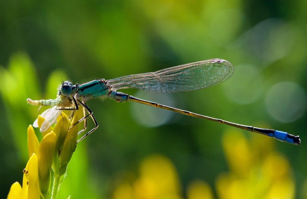 Photograph by Igor Ryzhov