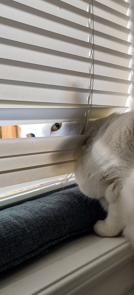 Фотография автора Marcos Arakelian