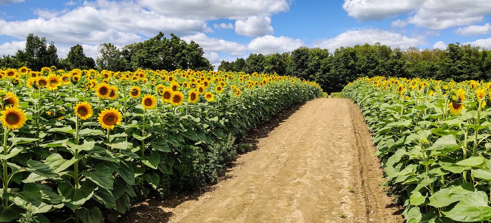 Фотография автора Marcos Arakelian