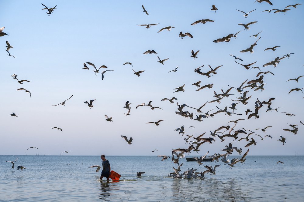 Photograph by Evgeny Vdovin