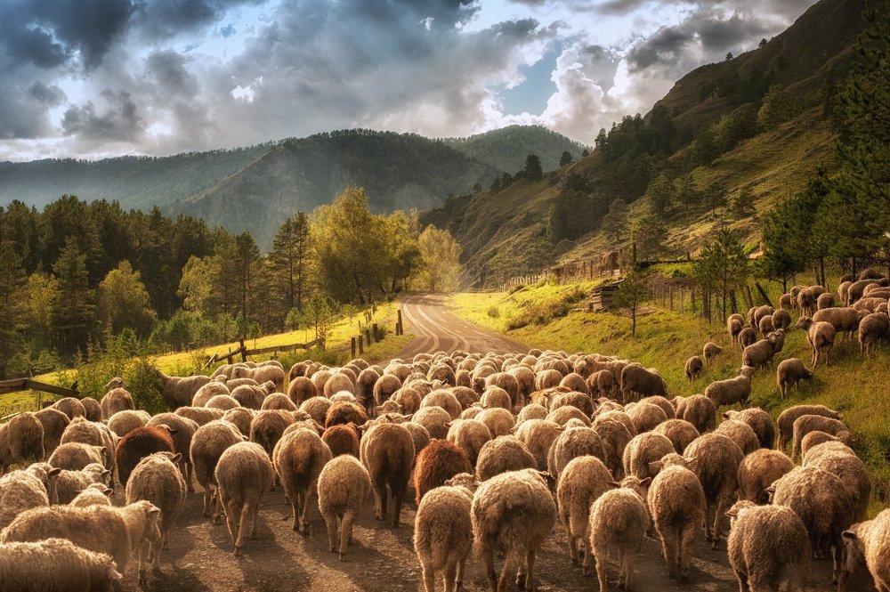 Photograph by Евгений Кривошеев