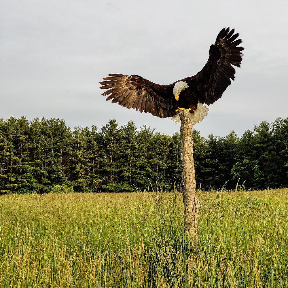 Фотография автора Marcos Arakelian