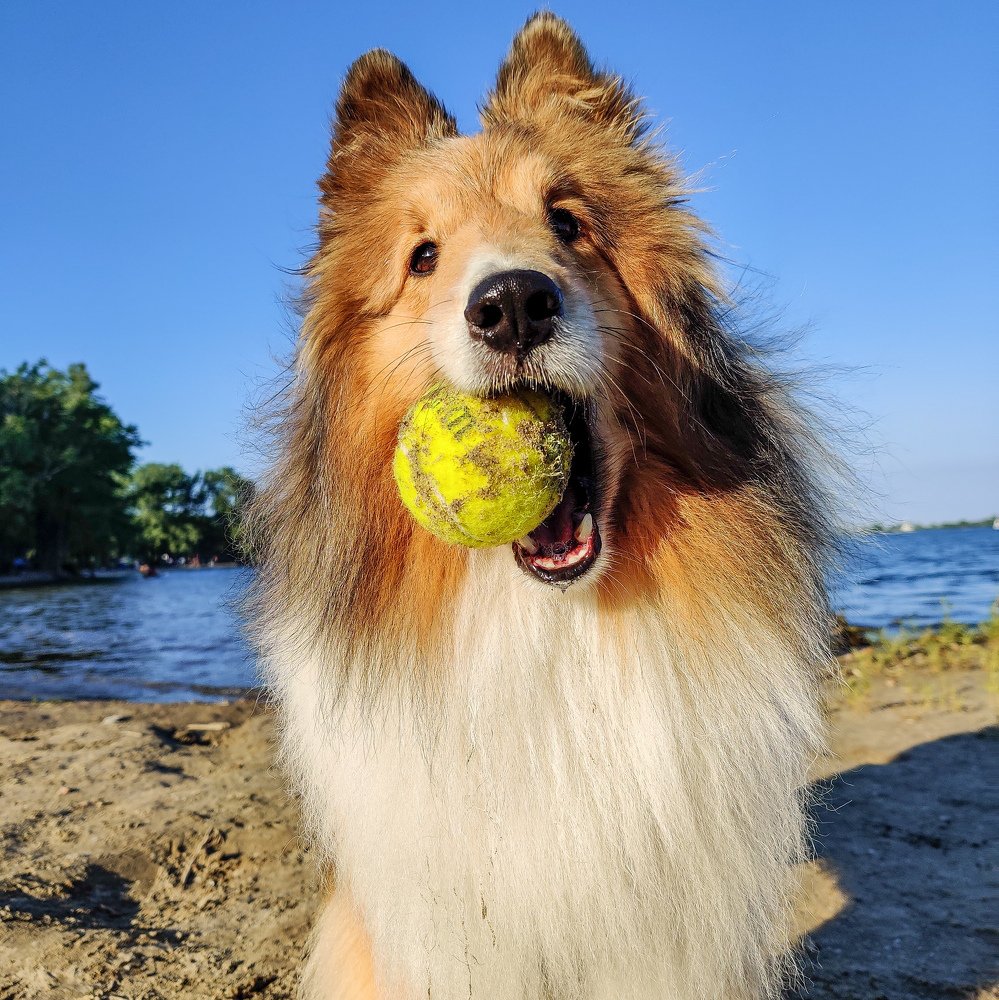 Фотография автора Marcos Arakelian
