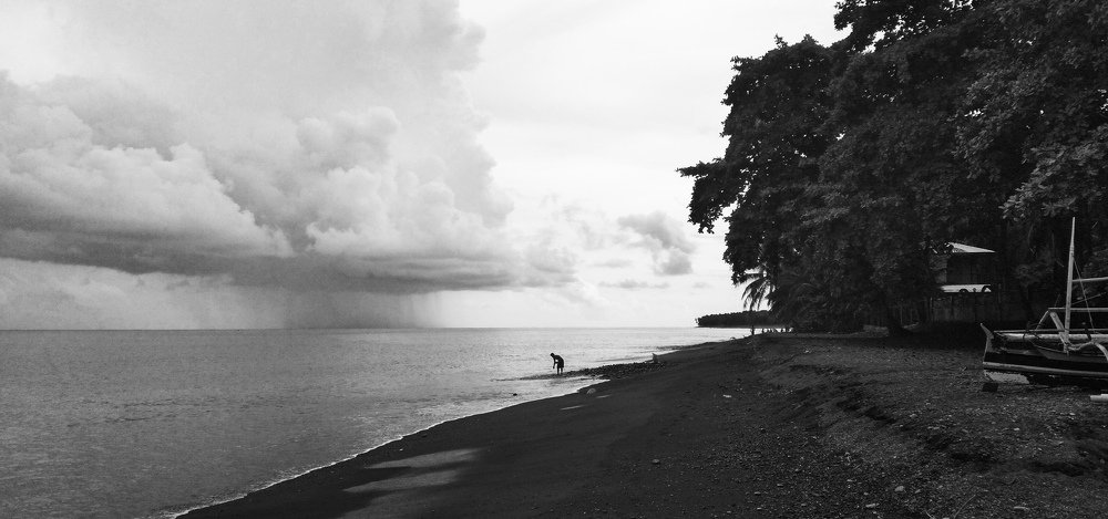 Photo #5149408