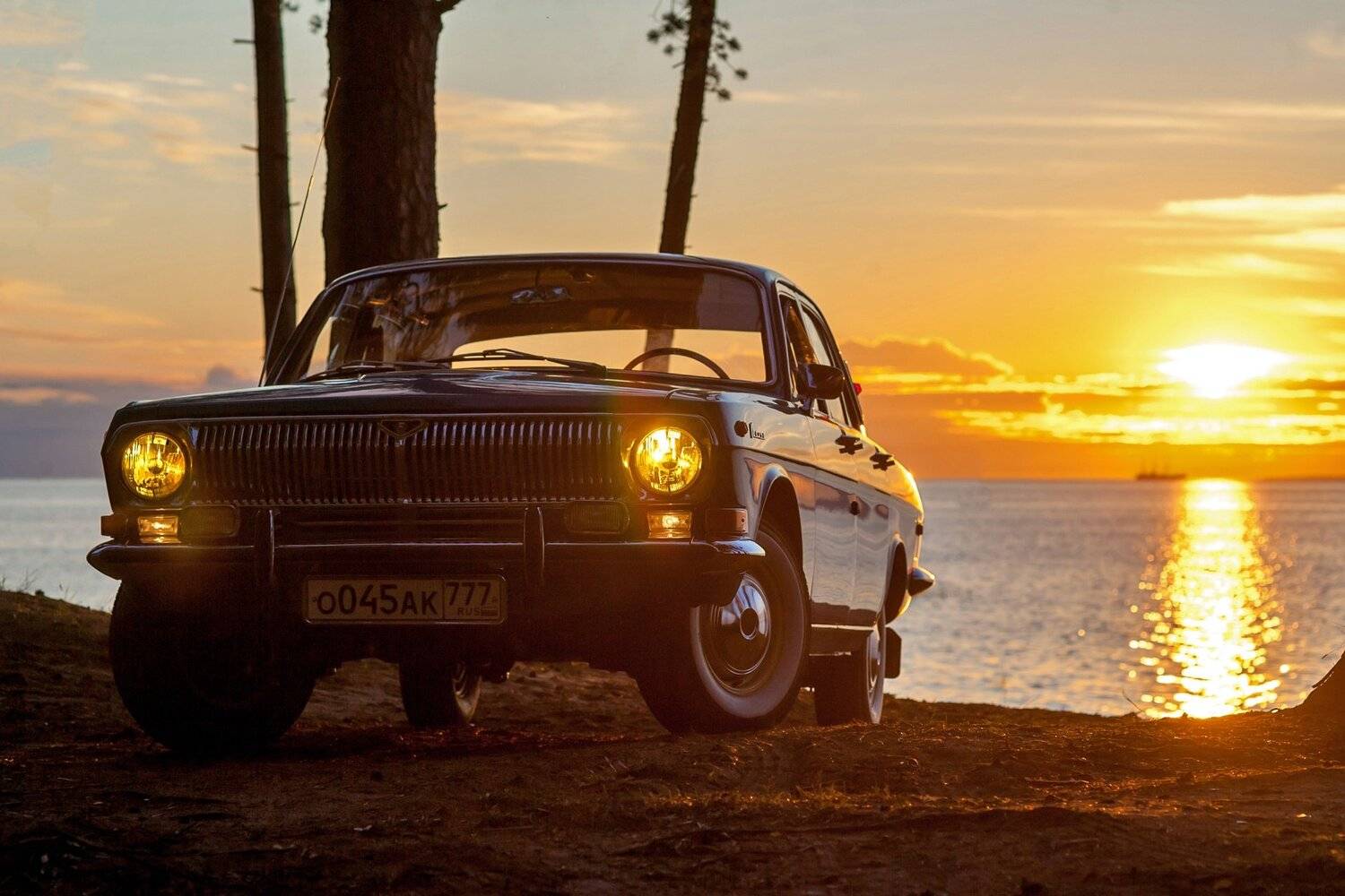 Фотография #5149414