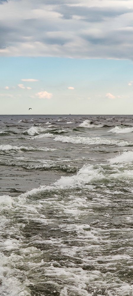 Фотография автора Marcos Arakelian