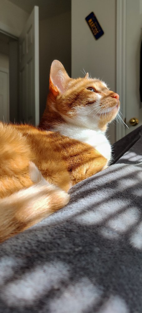 Фотография автора Marcos Arakelian