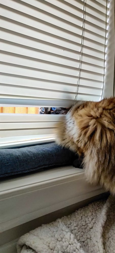 Фотография автора Marcos Arakelian