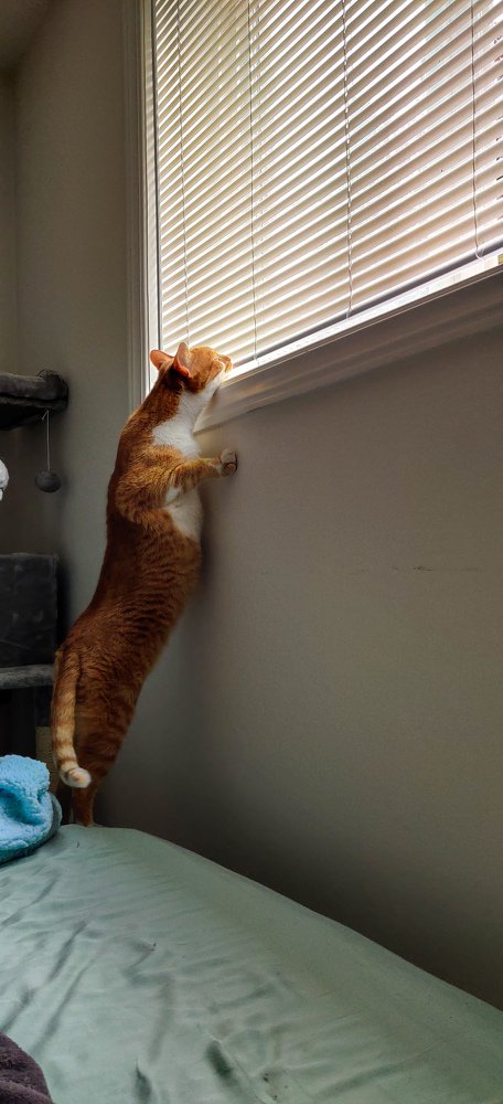 Фотография автора Marcos Arakelian