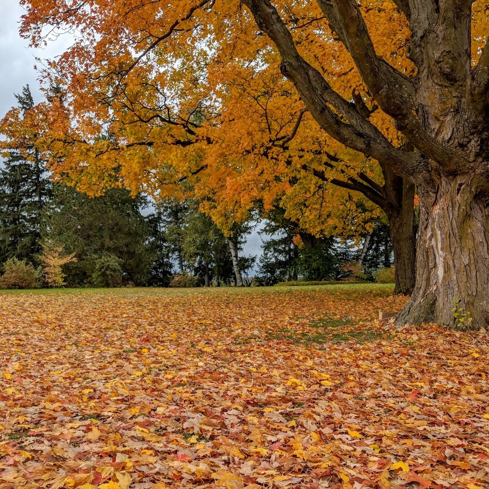 Фотография автора Marcos Arakelian