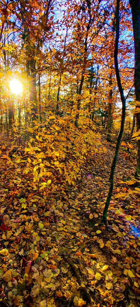 Фотография автора Marcos Arakelian