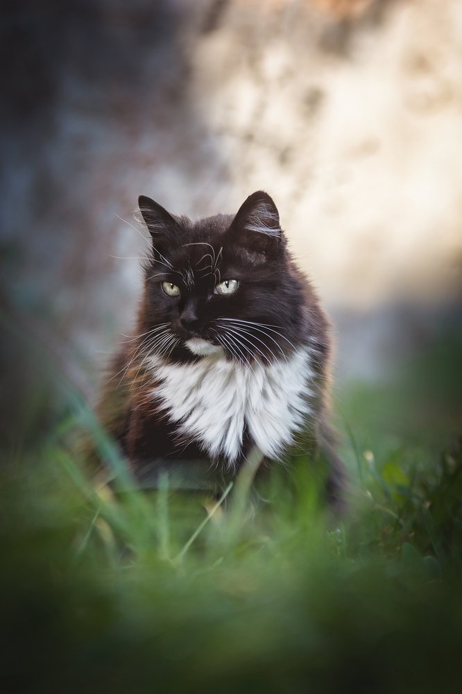 Photograph by Кристина Чижмар