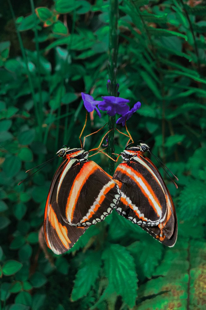 Photograph by Кристина