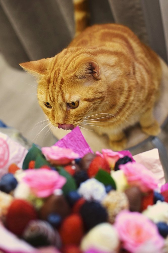 Photograph by Вероника