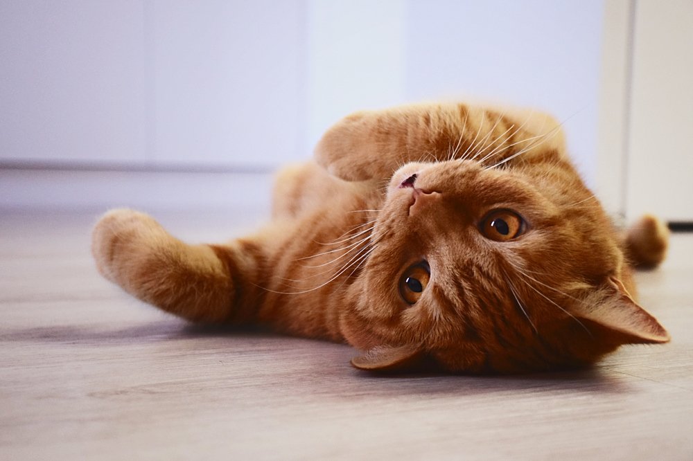 Photograph by Вероника