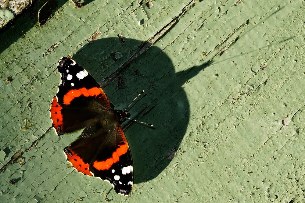Photograph by Konstantin Krouz