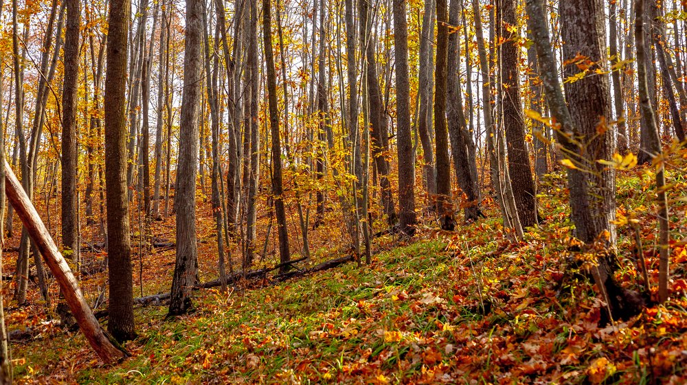 Photograph by Александр Плисик