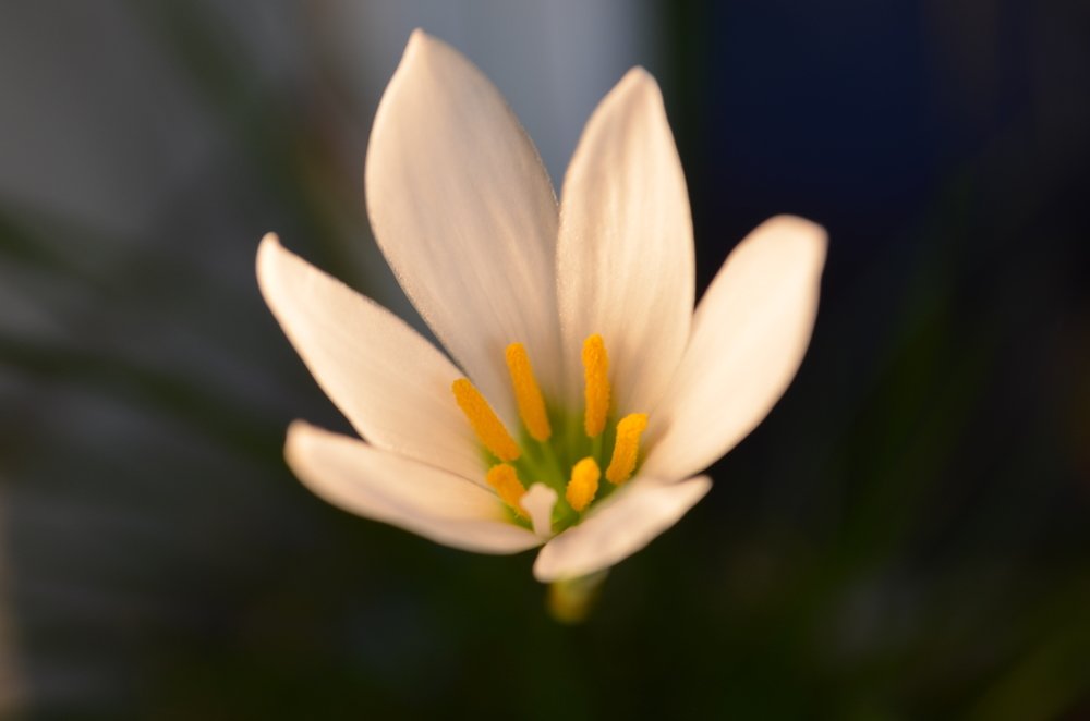 Фотография автора Евгения Илина