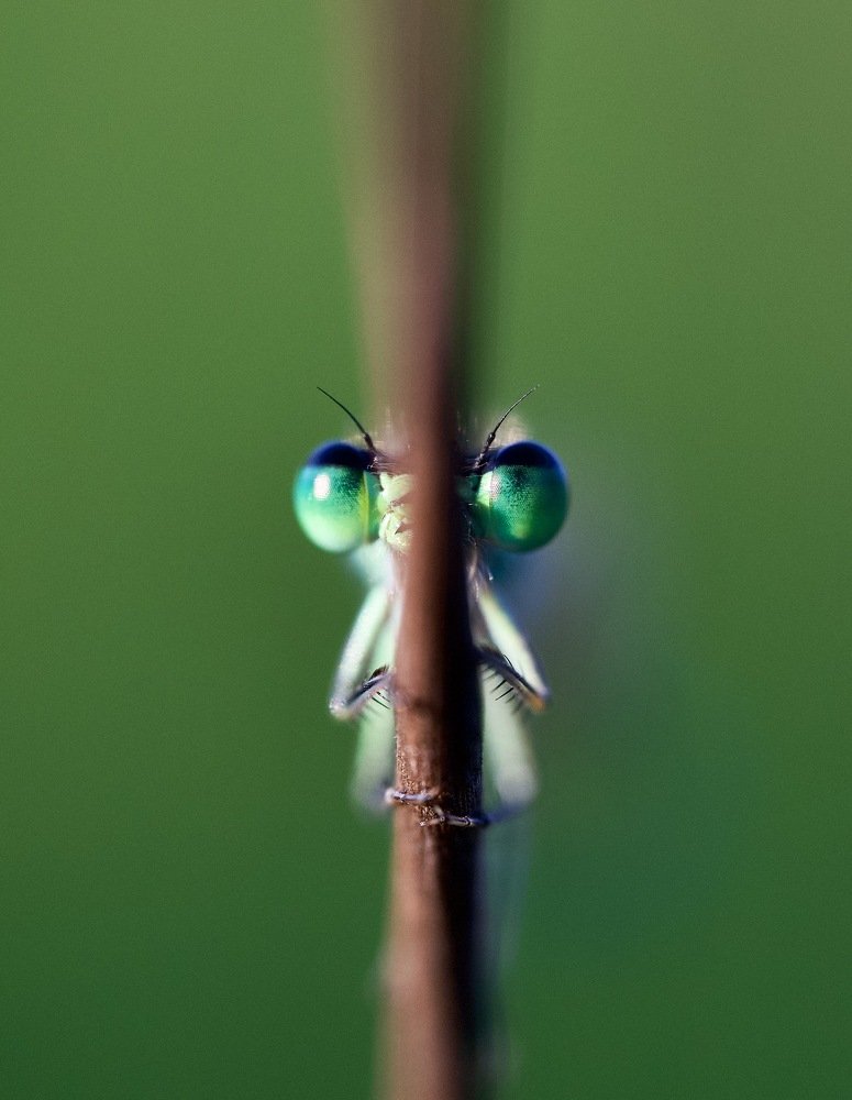 Photograph by Igor Ryzhov