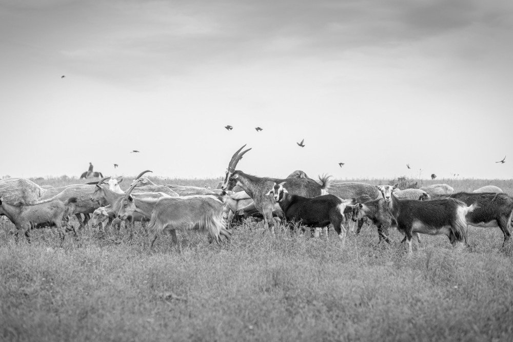 Photograph by Vladimir Soroka