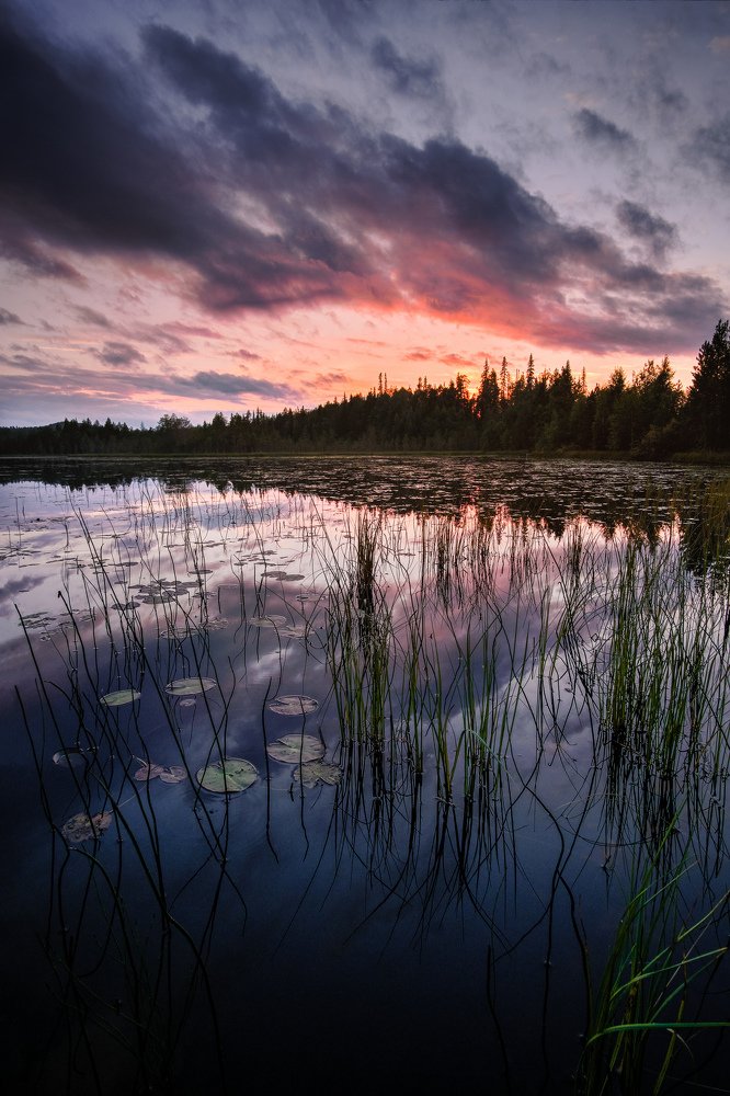 Photograph by Груздев Артём