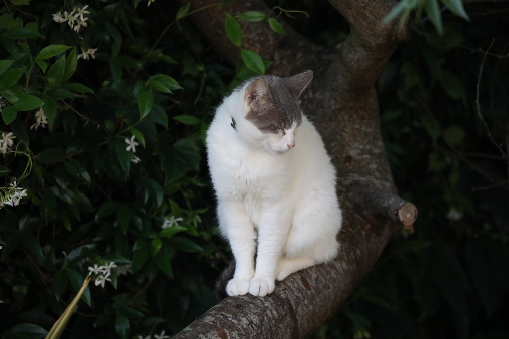 Photograph by Pauline Doran