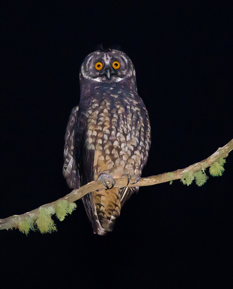 Photograph by Paulo Guerra