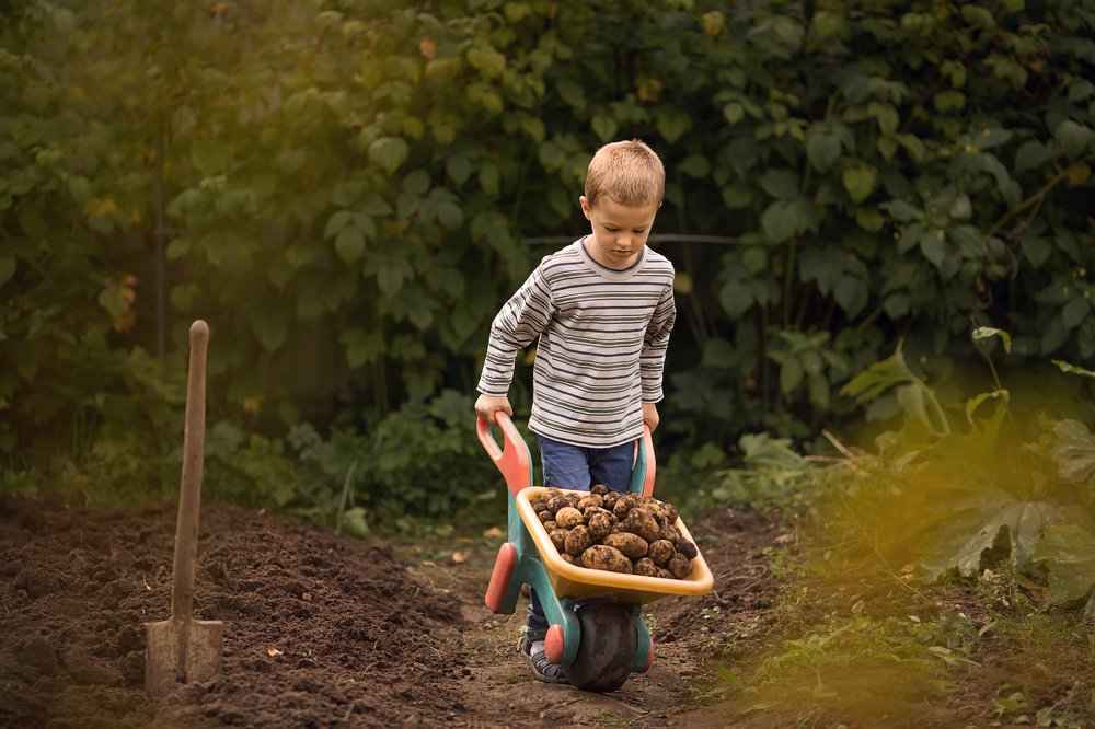 Photograph by Ирина Егорова