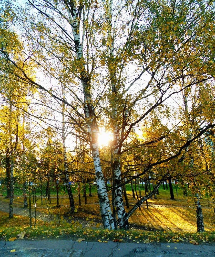 Photograph by Татьяна Красавцева