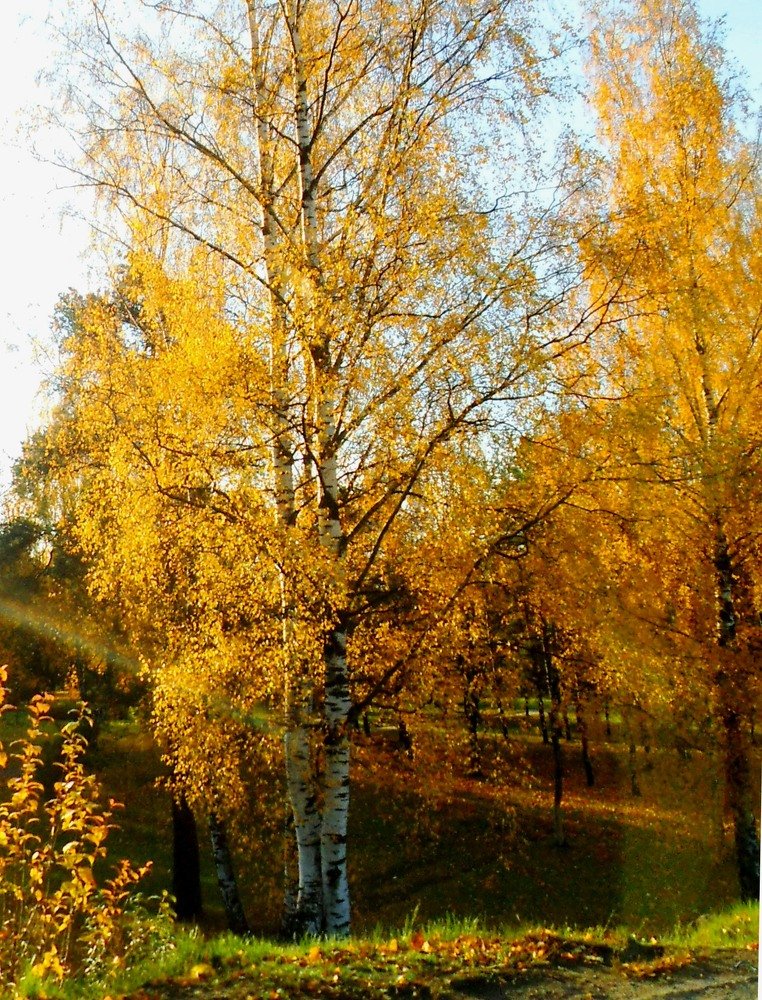 Photograph by Татьяна Красавцева