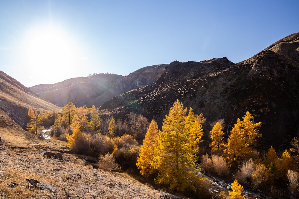 Photograph by Сергей Ларин