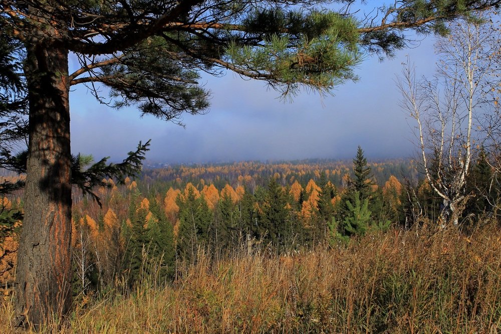 Photograph by Леунина Людмила